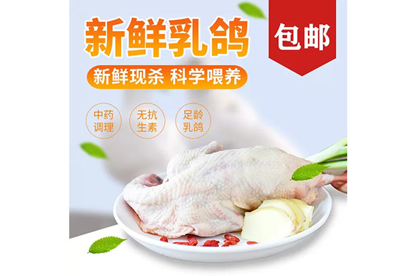 雷競技app下載 - 冰鮮乳鴿